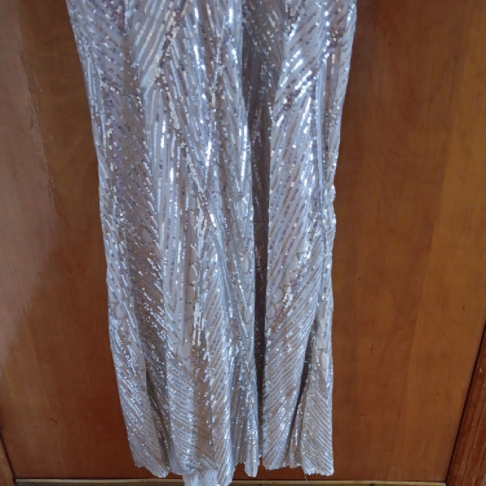Champagne Silver Sequin Gown - Picture 4 of 10